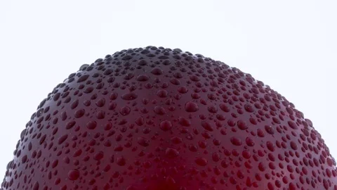 Macro shooting of upper part of one big purple maynard plum with water drops. Stock Footage 93634582