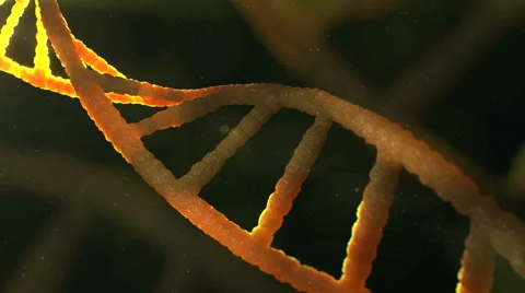 Macro shot of 3d DNA structure Stock Footage 64234711