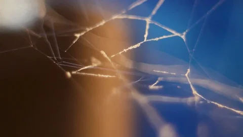 Macro shot of an abandon spider web in 4k Video stock 128942743