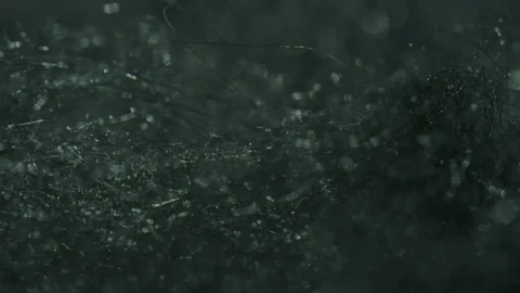 Macro Shot of Abstract Elements Video stock 208804412