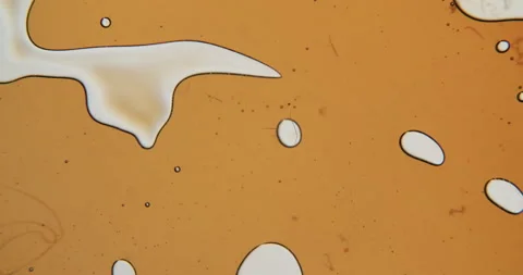 Macro shot of air bubbles moving in an amber liquid Video stock 136256918