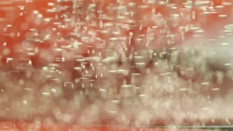 Macro shot of air bubbles in prosecco rising up on the red background. Stock Footage 166342024