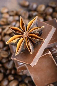 Macro shot to anise with chocolate Фото