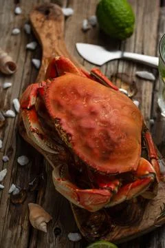 Macro shot of appetizing cooked crab on the chopped board served with seashel Stock-Fotos
