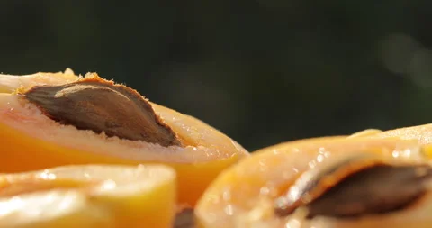 Macro shot of apricot. Stock-Footage 135634700