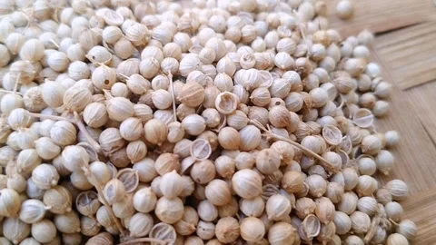 Macro Shot of Aromatic Coriander Seeds on Bamboo Mat Stock Footage 340626818