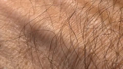 Macro shot of back of middle aged white man's hand  Stock Footage 321270638