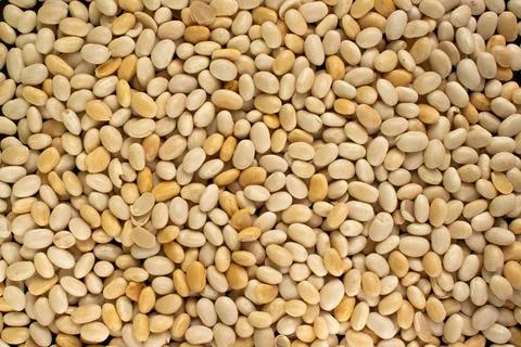 Macro shot of beans isolate on a background. Top view of food - beans texture Stock-Fotos