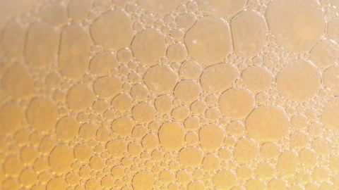 Macro shot of beer bubbles Stock Footage 221814197