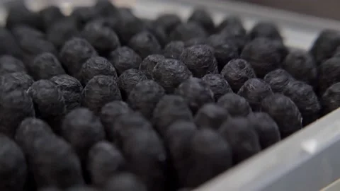 Macro shot of black cotton buds.Close-up Stock Footage 200824595
