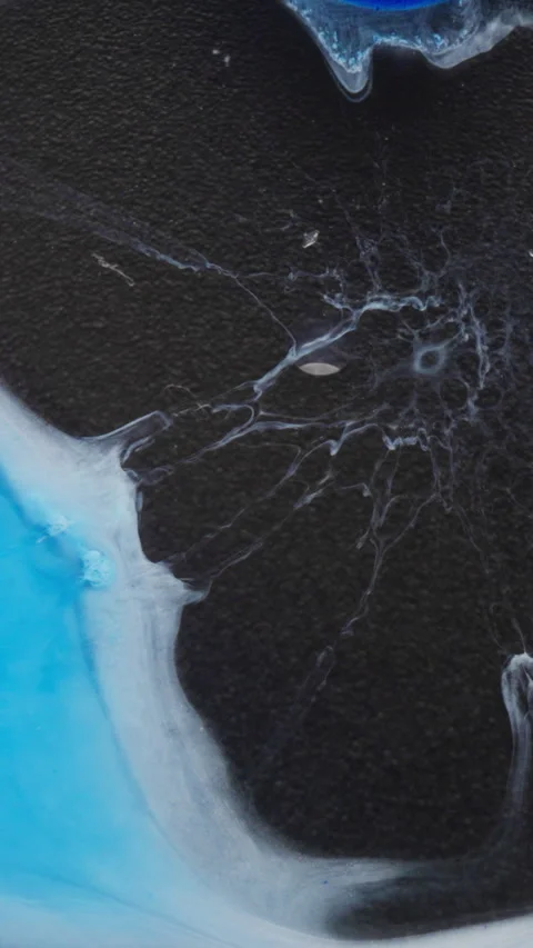 Macro Shot of Blue and Black Ink Spreading to Form Organic Patterns on White Stock Footage 340416455
