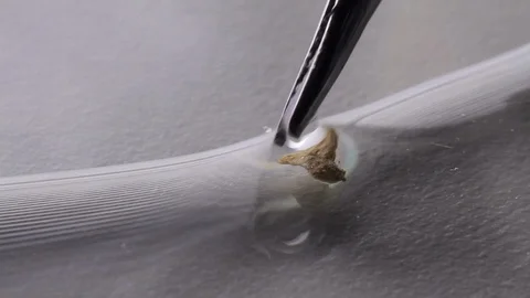 Macro shot of bone fragment for forensic analysis Stock Footage 88419894