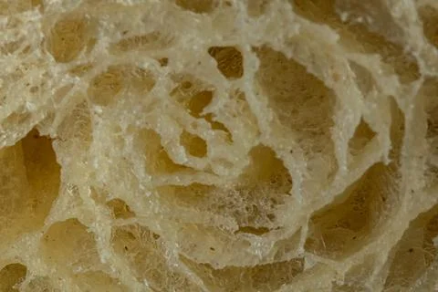 Macro shot of bread crumb structure showing airy, porous texture. Stock Photos