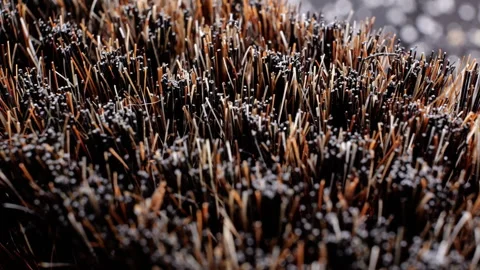 Macro shot of the bristles of a clothes brush Stock Footage 254131155
