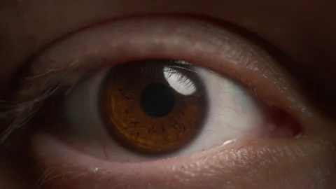 Macro shot of a brown eye opening slowly and looking straight Stock Footage 239798532