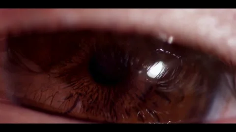 Macro shot of a brown human eye iris blinking Stock Footage 329751357