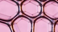 Macro Shot Of Bubbles Burst On Pink Bg Stock Footage