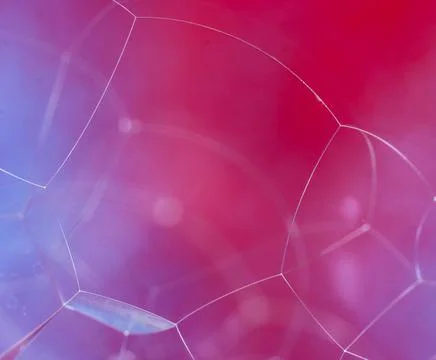 Macro shot of bubbles on a gradient pink background Stock Photos