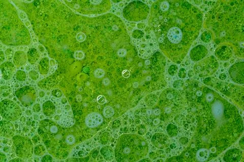 Macro Shot of Bubbles in Green Liquid Stock Photos