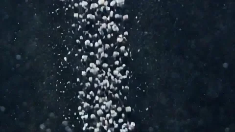 Macro Shot Of Bubbles Rising Through Dark Water Vidéo 330742452