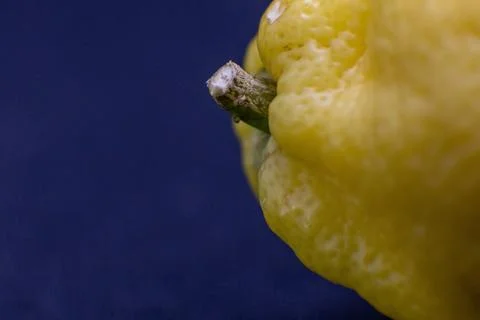 Macro shot of a bumpy yellow fruit or vegetable, like a lemon or pepper, agai Stock Photos