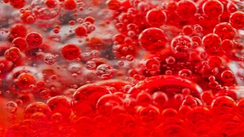 Macro shot of a bunch of red bubbles in water moving constantly Video stock 124671137
