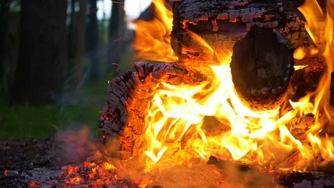 Macro Shot of Campfire and Flames Stock Footage 85183069