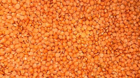 This macro shot captures a dense accumulation of uncooked lentils, highlighti 写真素材