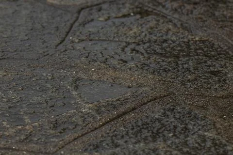 Macro shot capturing the detailed texture and patterns of a wet surface, hi.. 写真素材