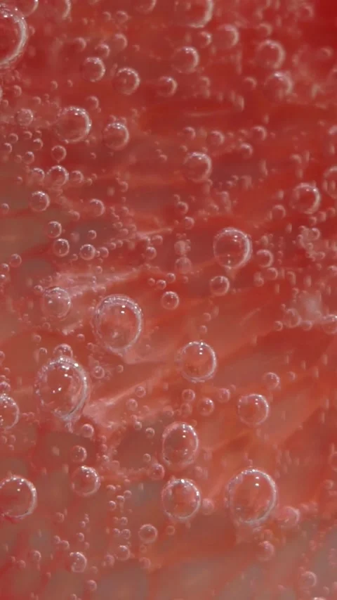 Macro Shot of Carbonated Fizz Bubbles on Citrus Surface Stock Footage 345972514