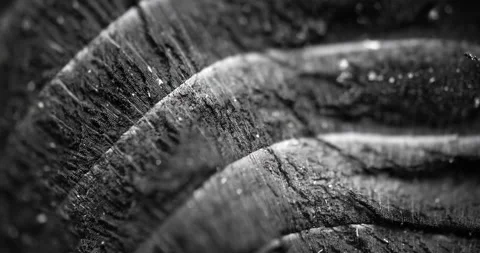 Macro shot of charcoal 库存影片 151530474