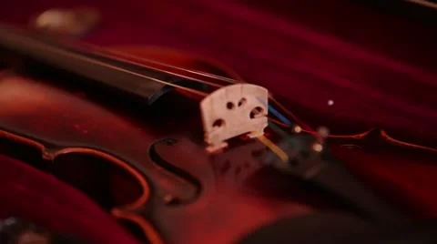 Macro shot of the classical violin Stock Footage 40519828