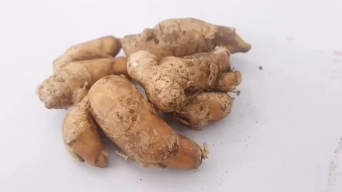 Macro Shot of Clean Whole Kencur Roots on Wooden Table Stock Footage 340382943