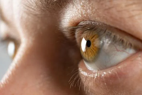 Macro shot of clear normal cornea and brown iris. Stock Photos