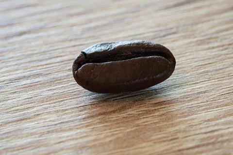 Macro shot of a coffee bean Stock Photos