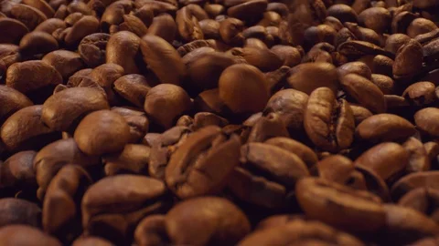 Macro shot of coffee beans Stock Footage 112240376