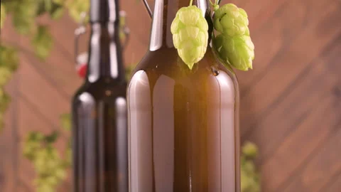 Macro shot of a cold brown beer bottle with a droplet of condensation slowly 스톡 동영상 311817119