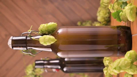 Macro shot of a cold brown beer bottle with a droplet of condensation slowly Stock Footage 311817135