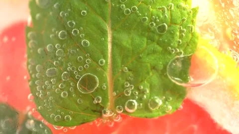 Macro shot of cold refreshing grapefruit lemonade with ice cubes and mint. .. Stock Footage 275886620