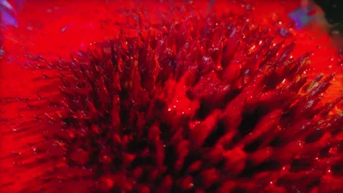 Macro Shot of Colored Magnetic Liquid Stock Footage 189869243