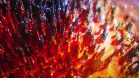 Macro Shot of Colored Magnetic Liquid Video stock 189869921