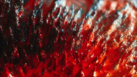 Macro Shot of Colored Magnetic Liquid Video stock 189870225