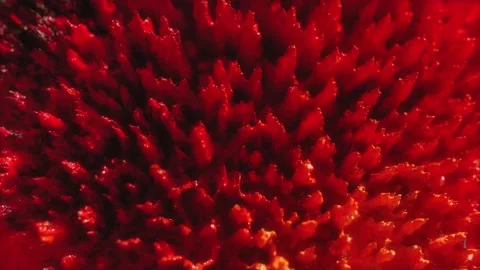 Macro Shot of Colored Magnetic Liquid Video stock 189870306