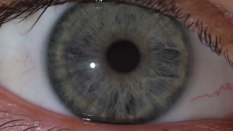 Macro shot of the contraction of the gray pupil of the human eye 스톡 동영상 171590032