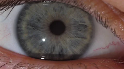 Macro shot of the contraction of the gray pupil of the human eye 스톡 동영상 171590323