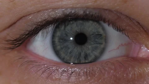 Macro shot of the contraction of the gray pupil of the human eye 스톡 동영상 171590584