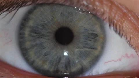Macro shot of the contraction of the gray pupil of the human eye 库存影片 171591100