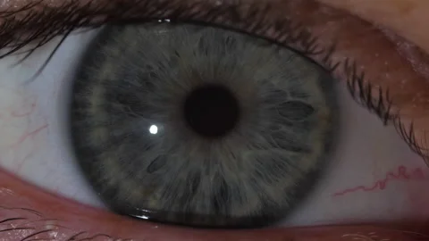 Macro shot of the contraction of the gray pupil of the human eye 스톡 동영상 171591272