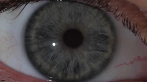 Macro shot of the contraction of the gray pupil of the human eye 스톡 동영상 171591781