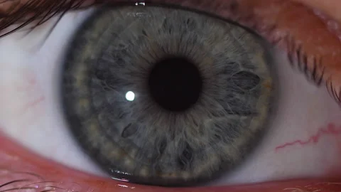 Macro shot of the contraction of the gray pupil of the human eye in slow-motion 스톡 동영상 171591961
